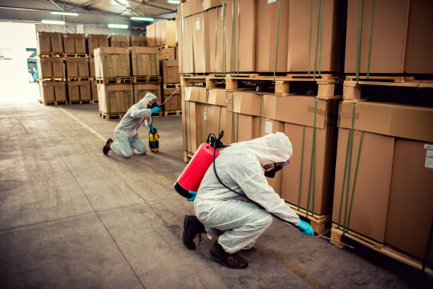 Pest Control Cost in East Meadow, NY