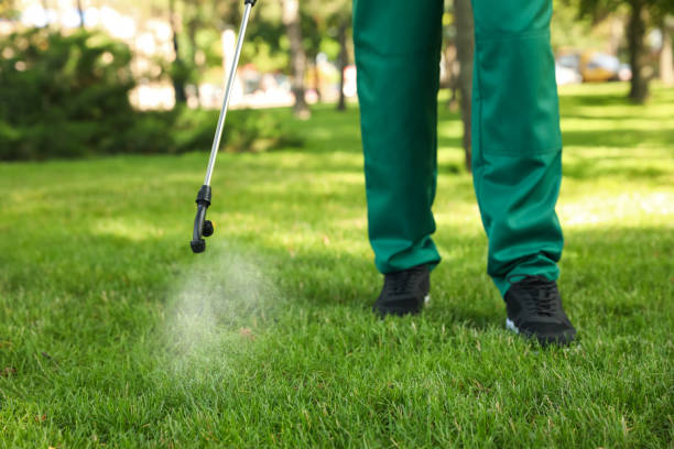 Best Bird Control  in East Meadow, NY