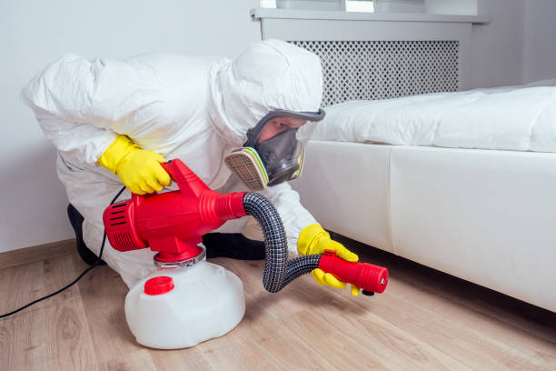  East Meadow, NY Pest Control Pros