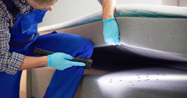 Best Emergency Pest Control  in East Meadow, NY