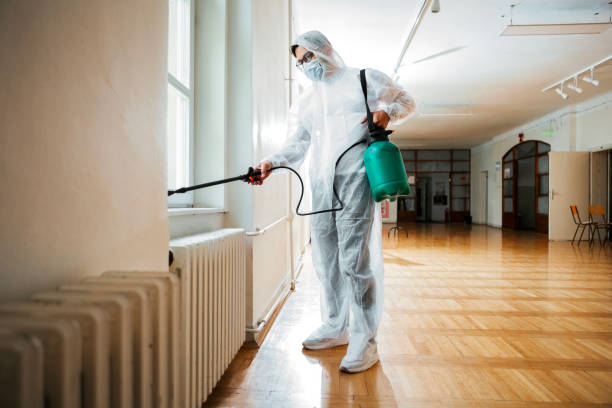 Best Rat Extermination Near Me  in East Meadow, NY